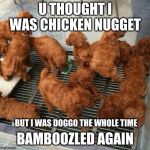 doggo | U THOUGHT I WAS CHICKEN NUGGET; BAMBOOZLED AGAIN; BUT I WAS DOGGO THE WHOLE TIME | image tagged in doggo | made w/ Imgflip meme maker