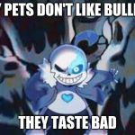 sams | MY PETS DON'T LIKE BULLIES; THEY TASTE BAD | image tagged in sans,video games | made w/ Imgflip meme maker