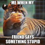 Facepalm Tiger | ME WHEN MY FRIEND SAYS SOMETHING STUPID | image tagged in facepalm tiger | made w/ Imgflip meme maker