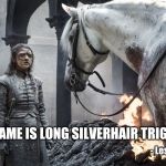 Meet the White Horse | - Leslie Jones; "MY NAME IS LONG SILVERHAIR TRIGGER!" | image tagged in arya white horse,game of thrones,arya,got,game of thrones arya,horse | made w/ Imgflip meme maker