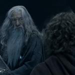 Fool of a Took meme