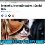 R.I.P. Grumpy Cat | I WONDER IF HE'S HAPPY NOW? | image tagged in grumpy cat dead,mxm,memes | made w/ Imgflip meme maker