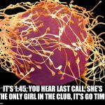 Sausage party | IT'S 1:45, YOU HEAR LAST CALL, SHE'S THE ONLY GIRL IN THE CLUB, IT'S GO TIME! | image tagged in sausage party | made w/ Imgflip meme maker