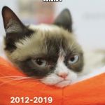 Grumpy cat passed away from a urinary tract infection | R.I.P. | image tagged in rip grumpy cat,memes | made w/ Imgflip meme maker