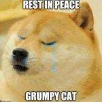 sad doge | REST IN PEACE; GRUMPY CAT | image tagged in sad doge | made w/ Imgflip meme maker