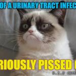 In memory of the late great Tadar Sauce | DIES OF A URINARY TRACT INFECTION; SERIOUSLY PISSED OFF; R.I.P GRUMPY CAT | image tagged in grumpy cat,rest in peace,infection | made w/ Imgflip meme maker