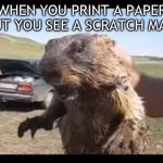 hate this i scream | WHEN YOU PRINT A PAPER BUT YOU SEE A SCRATCH MARK | image tagged in hate this i scream | made w/ Imgflip meme maker