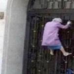 Grandma on a fence