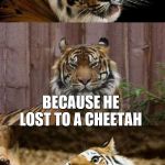 Why Did The Tiger Lose | WHY DID THE TIGER LOOSE AT MONOPOLY; BECAUSE HE LOST TO A CHEETAH | image tagged in bad pun tiger,why did i make this,cheetah | made w/ Imgflip meme maker