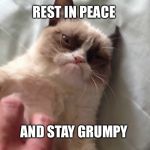 Forever grumpy | REST IN PEACE; AND STAY GRUMPY | image tagged in petting grumpy cat,grumpy cat,rest in peace | made w/ Imgflip meme maker