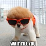 Cute Puppies | YOU THINK I'M COOL? WAIT TILL YOU SEE MY OWNER... | image tagged in cute puppies | made w/ Imgflip meme maker