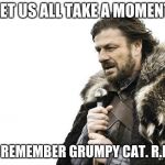 Brace Yourselves X is Coming Meme | LET US ALL TAKE A MOMENT TO REMEMBER GRUMPY CAT. R.I.P. | image tagged in memes,brace yourselves x is coming | made w/ Imgflip meme maker