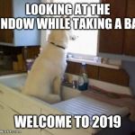 Dog looking out window | LOOKING AT THE WINDOW WHILE TAKING A BATH; WELCOME TO 2019 | image tagged in dog looking out window | made w/ Imgflip meme maker