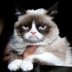Grumpy cat no more