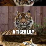 Using My Template For The First Time | WHAT IS THE FIERCEST FLOWER IN THE GARDEN; A TIGER LILY | image tagged in bad pun tiger,tiger,flower,bad jokes | made w/ Imgflip meme maker