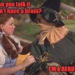 Dorothy and scarecrow | How can you talk if you
don't have a brain? I'M A REBUPLICAN | image tagged in dorothy and scarecrow | made w/ Imgflip meme maker