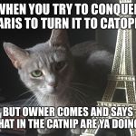 Trouble cat | WHEN YOU TRY TO CONQUER PARIS TO TURN IT TO CATOPIA; BUT OWNER COMES AND SAYS "WHAT IN THE CATNIP ARE YA DOING!!!" | image tagged in trouble cat,memes,funny,paris | made w/ Imgflip meme maker