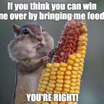 hungry squirrel | If you think you can win me over by bringing me food... YOU'RE RIGHT! | image tagged in hungry squirrel | made w/ Imgflip meme maker