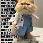 WORTHLESS BUTT | HUMAN GET YOU WORTHLESS BUTT BACK IN YOUR BED & TAKE YOUR PILLS! IF YOU DON'T I'LL STRAP YOU TO A TABLE & TORTURE YOU TO DEATH! WITH THE DEFIBRILLATOR! | image tagged in worthless butt | made w/ Imgflip meme maker