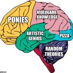 Brain Sections | VIDEOGAME  KNOWLEDGE; PONIES; PIZZA; ARTISTIC GENIUS; RANDOM THEORIES | image tagged in brain sections | made w/ Imgflip meme maker