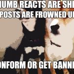 Doge from Kayla | THUMB REACTS ARE SHIT; REPOSTS ARE FROWNED UPON; CONFORM OR GET BANNED | image tagged in doge from kayla | made w/ Imgflip meme maker