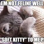 sick cat | I'M NOT FELINE WELL; SING "SOFT KITTY" TO ME PLEASE | image tagged in sick cat | made w/ Imgflip meme maker