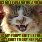 BUTT WIPE | JUST BETWEEN YOU AND ME; I WIPED MY POOPY BUTT OF THE HAND TOWEL SHE'S ABOUT TO DRY HER FACE OFF WITH | image tagged in butt wipe | made w/ Imgflip meme maker