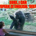 Watch The Birdy | SURE, I CAN SPEAK ZE ENGLISH.  SEE? | image tagged in watch the birdy | made w/ Imgflip meme maker