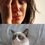crying with grumpy cat meme