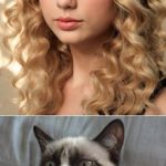 Grumpy Cat says "no" to Taylor Swift as NYC Global Welcome Ambas | WE WILL NEVER GET BACK TOGETHER; GOOD | image tagged in grumpy cat says no to taylor swift as nyc global welcome ambas | made w/ Imgflip meme maker