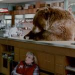 Bear In Grocery Store meme