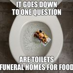 Toliet | IT GOES DOWN TO ONE QUESTION; ARE TOILETS FUNERAL HOMES FOR FOOD | image tagged in toliet | made w/ Imgflip meme maker