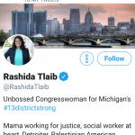 Rashida tlaib meme