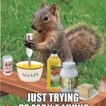 Times are tough | JUST TRYING TO EARN A LIVING | image tagged in soap making squirrel,trying to make a living,times are tough,soap,hand made | made w/ Imgflip meme maker