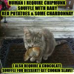 DINNER | HUMAN I REQUIRE CHIPMUNK SOUFFLE WITH BABY RED POTATOES & SOME CHARDONNAY; I ALSO REQUIRE A CHOCOLATE SOUFFLE FOR DESSERT! GET COOKIN SLAVE! | image tagged in dinner | made w/ Imgflip meme maker