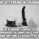 Spring in colorado | AHHH LATE SPRING IN COLORADO... THE BLOOMING FLOWERS, THE SONGBIRDS, THE SUNNY SKIES, PEOPLE JOGGING AND FAMILIES HIKING........OH WAIT | image tagged in snow cat | made w/ Imgflip meme maker