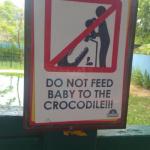 Zoo Signs: Alligator