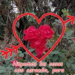 I saw these roses today | Ricky; Hagamos las cosas con corazón, para que aquellos que nos miren nunca nos olviden. | image tagged in i saw these roses today | made w/ Imgflip meme maker