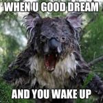Mad kaola | WHEN U GOOD DREAM; AND YOU WAKE UP | image tagged in mad kaola | made w/ Imgflip meme maker
