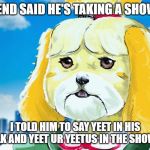 isabelle pug | FRIEND SAID HE'S TAKING A SHOWER; I TOLD HIM TO SAY YEET IN HIS MILK AND YEET UR YEETUS IN THE SHOWER | image tagged in isabelle pug | made w/ Imgflip meme maker