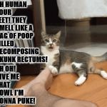 YOUR FEET | OH HUMAN YOUR FEET! THEY SMELL LIKE A BAG OF POOP FILLED DECOMPOSING SKUNK RECTUMS! UH OH! GIVE ME THAT BOWL I'M GONNA PUKE! | image tagged in your feet | made w/ Imgflip meme maker