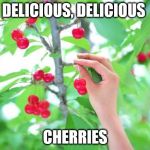 we select on the best facts | DELICIOUS, DELICIOUS; CHERRIES | image tagged in cherry picking | made w/ Imgflip meme maker