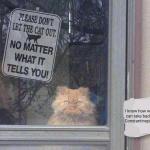 No matter what it tells you