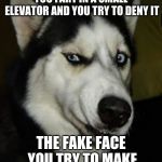 Fart Smell Dog | YOU FART IN A SMALL ELEVATOR AND YOU TRY TO DENY IT; THE FAKE FACE YOU TRY TO MAKE | image tagged in fart smell dog | made w/ Imgflip meme maker