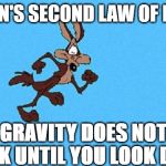 Wile E. Coyote | NEWTON'S SECOND LAW OF MOTION; GRAVITY DOES NOT WORK UNTIL YOU LOOK DOWN | image tagged in wile e coyote | made w/ Imgflip meme maker