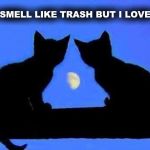 kitties and the moon | YOU SMELL LIKE TRASH BUT I LOVE YOU | image tagged in kitties and the moon,smells,smelly,cats,moon | made w/ Imgflip meme maker