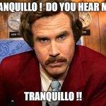 tranquillo tranquilo ron burgundy | TRANQUILLO !  DO YOU HEAR ME? TRANQUILLO !! | image tagged in i'm ron burgundy,ron burgundy | made w/ Imgflip meme maker