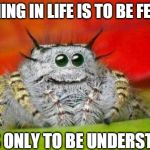 misunderstood spider | NOTHING IN LIFE IS TO BE FEARED; IT IS ONLY TO BE UNDERSTOOD. | image tagged in misunderstood spider | made w/ Imgflip meme maker