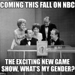 Game show | COMING THIS FALL ON NBC; THE EXCITING NEW GAME SHOW, WHAT’S MY GENDER? | image tagged in whats my gender | made w/ Imgflip meme maker