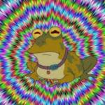 trippy frog